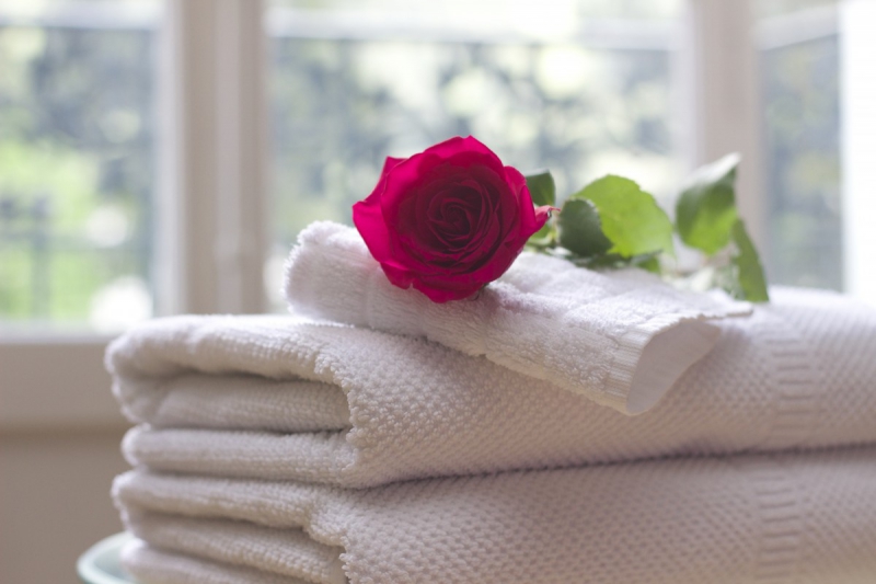 hotel-BORMES LES MIMOSAS-min_towel_rose_clean_care_salon_spa_white_bath-731641